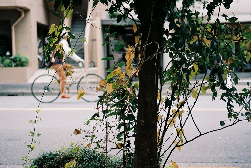 恵比寿の自転車 その２