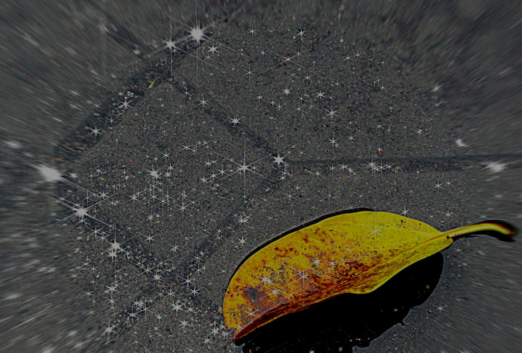 雨かがやく日
