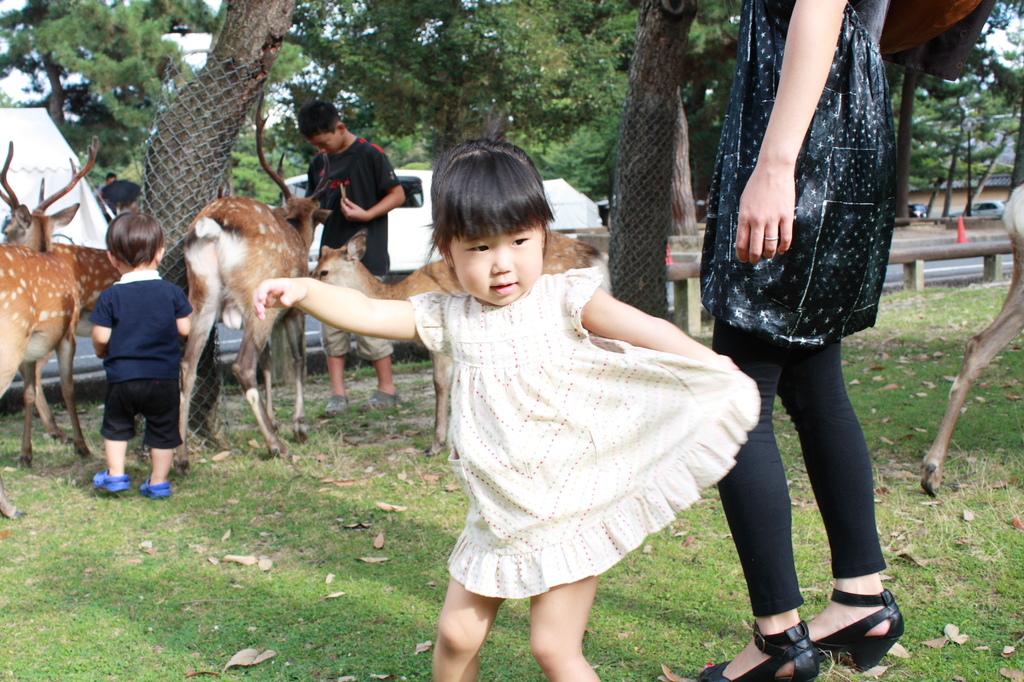 かわいいでしょ！？