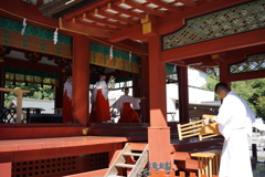 鶴岡八幡宮　ぼんぼり祭22