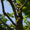 鎌倉中央公園２