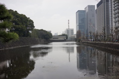 皇居外苑1