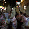 神楽坂まつり8