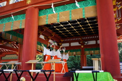 鶴岡八幡宮　ぼんぼり祭4