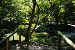 鶴岡八幡宮　ぼんぼり祭12