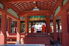 鶴岡八幡宮　ぼんぼり祭3