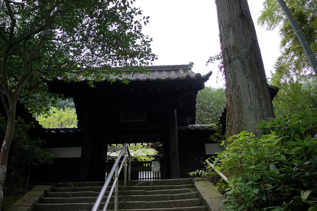 円覚寺4