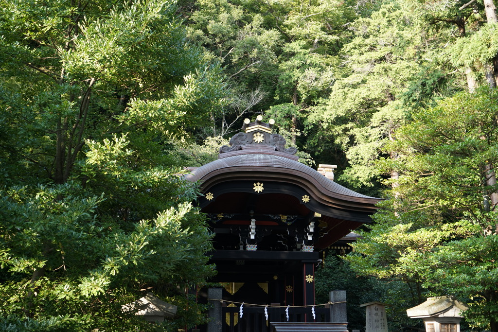 鶴岡八幡宮7