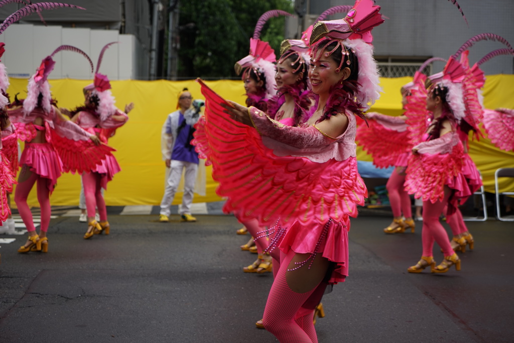 浅草サンバカーニバル2015 04