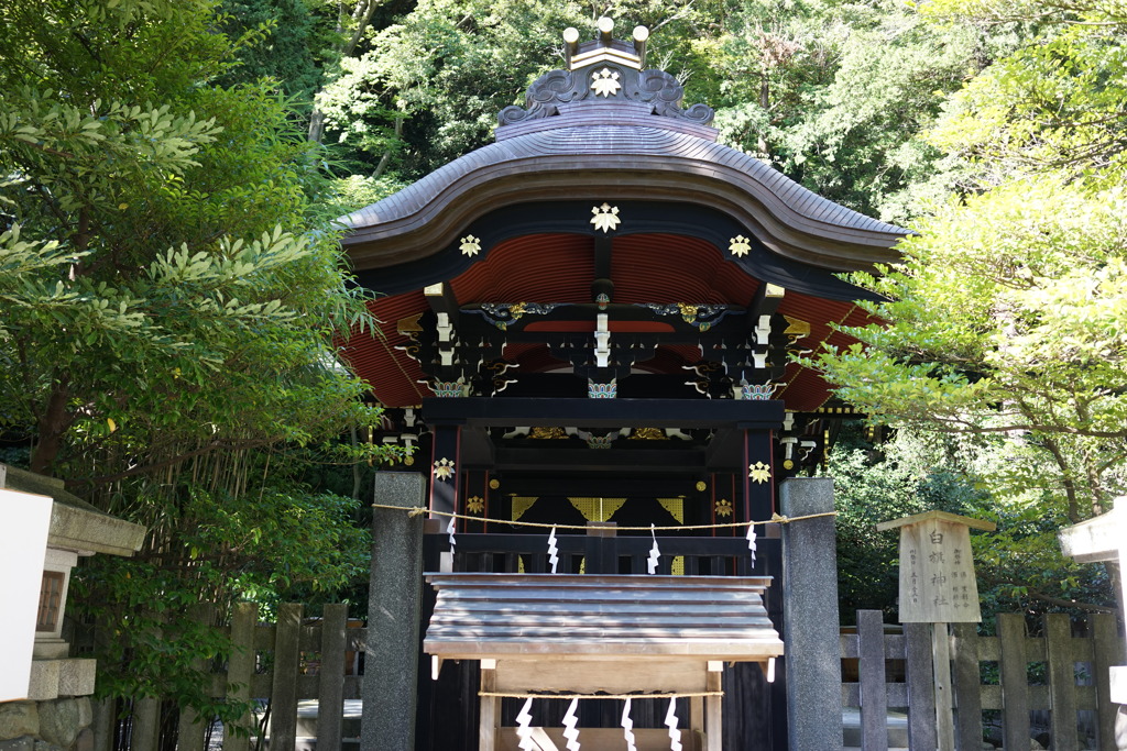 鶴岡八幡宮　ぼんぼり祭10