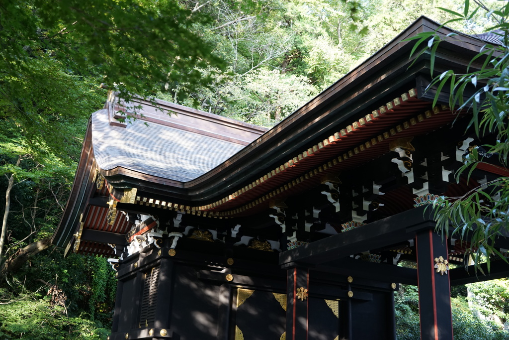 鶴岡八幡宮8