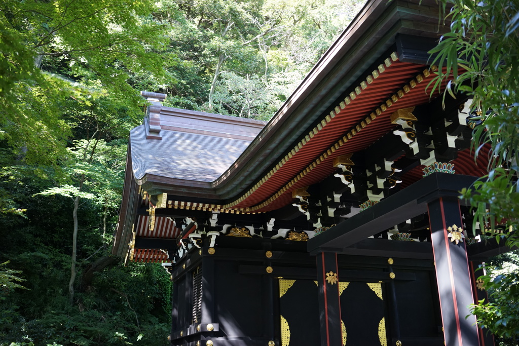 鶴岡八幡宮　ぼんぼり祭11