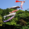 鎌倉中央公園４