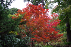 円覚寺2