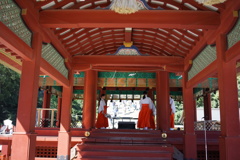 鶴岡八幡宮　ぼんぼり祭2