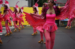 浅草サンバカーニバル2015 03