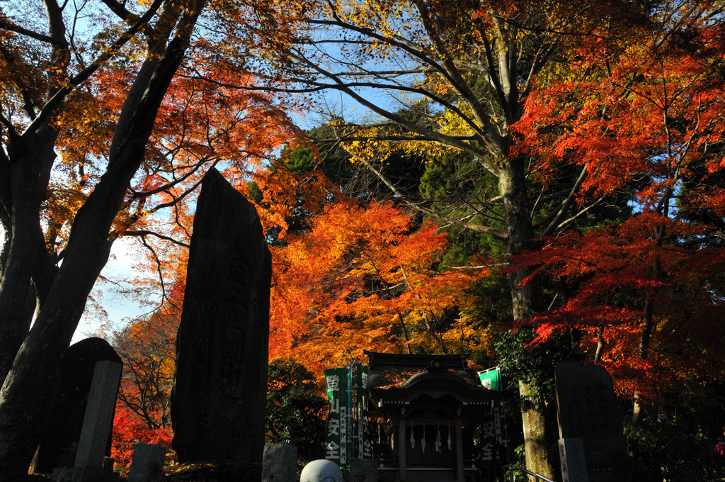 高尾山口の紅葉