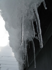 Icicle