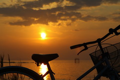 夕陽自転車