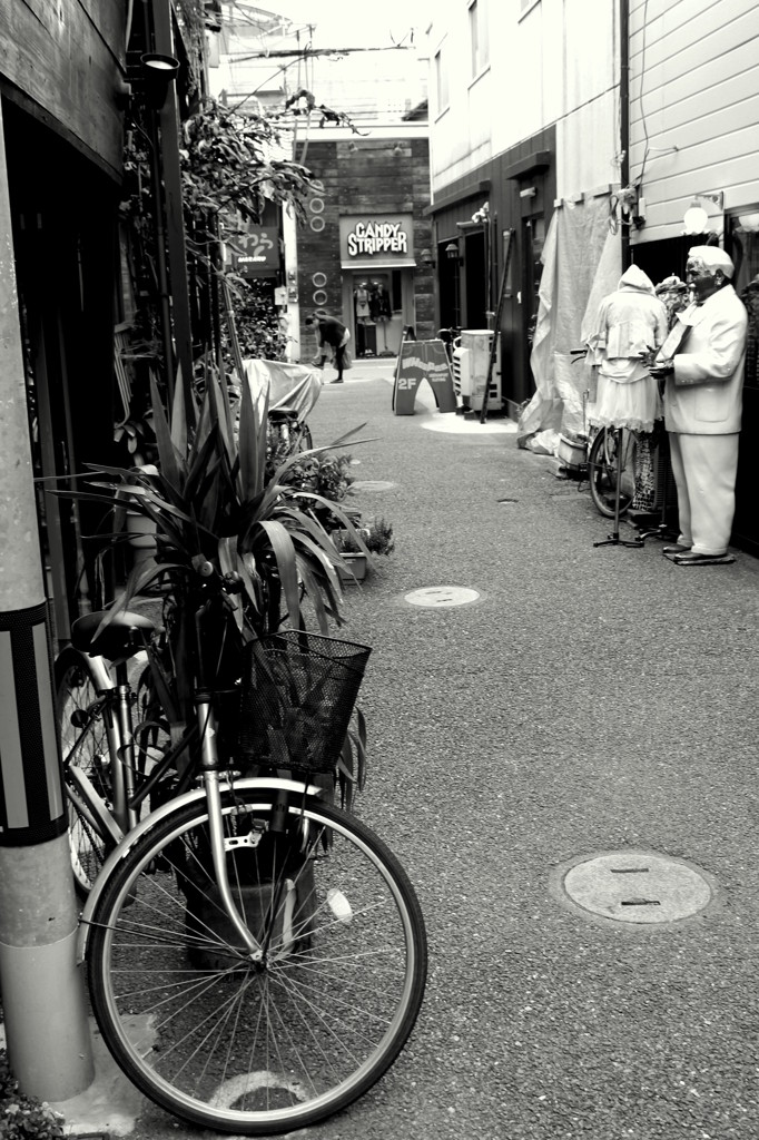 路地裏探検隊