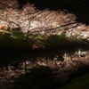 夜桜　上田城