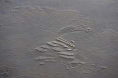薄氷