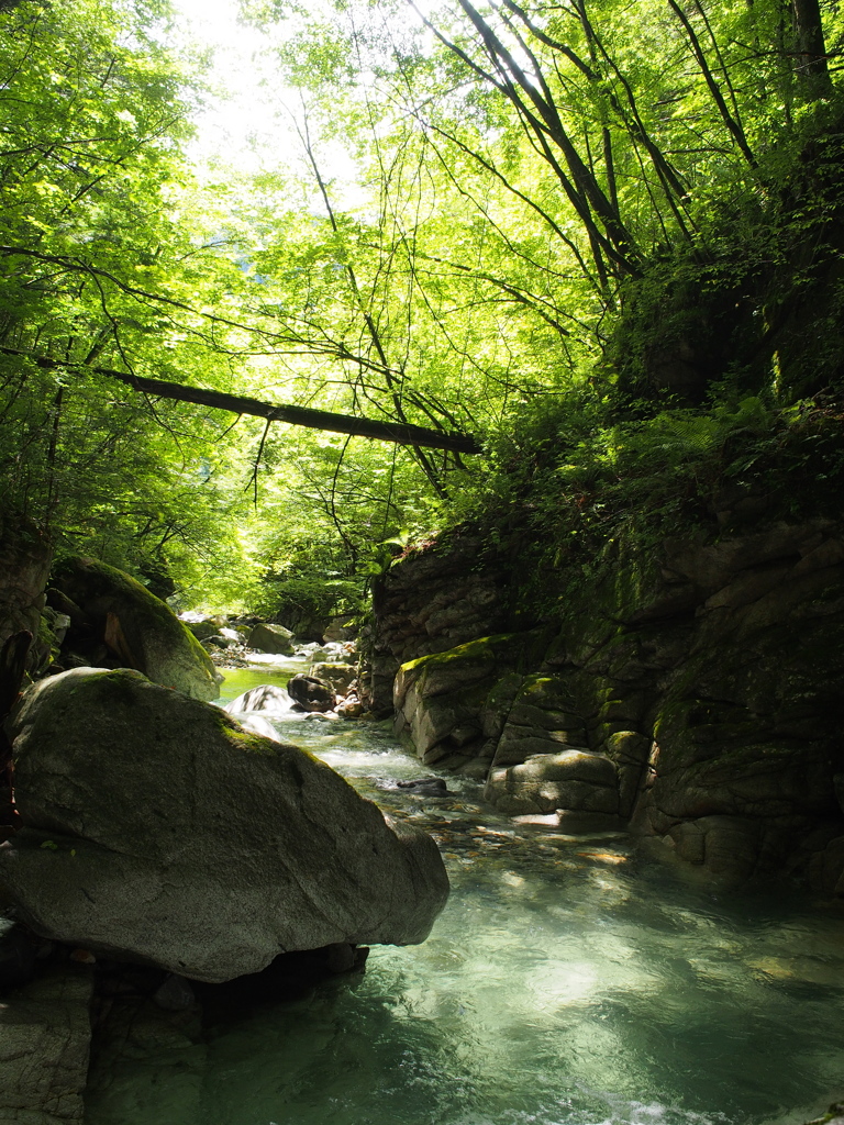淡緑