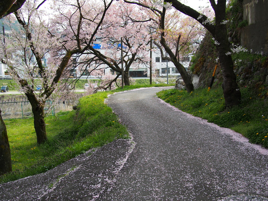 高遠の春