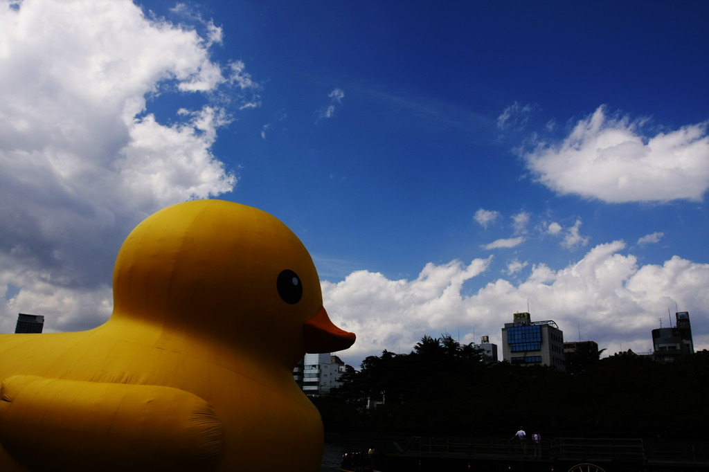 フローティング ダック