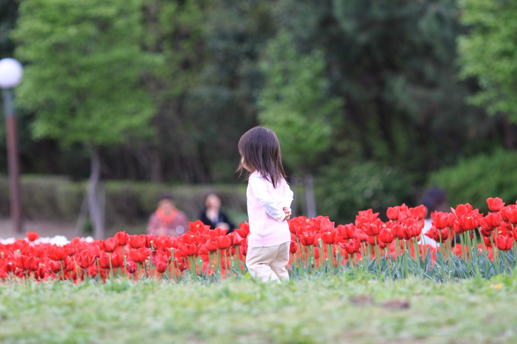 お花畑