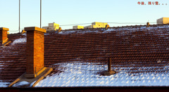 春の午後、屋上の雪