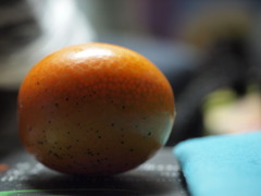 橘～マクロ