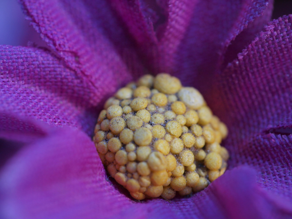 飾り用の花～