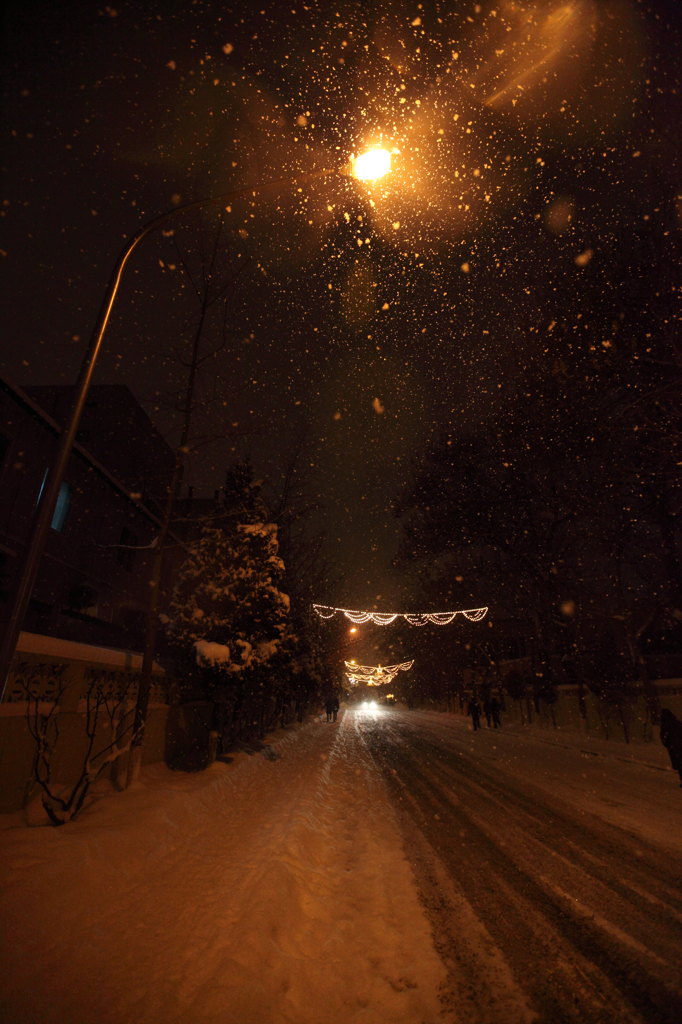 灯．雪．帰る道