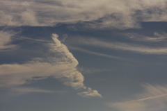 今日の変な雲