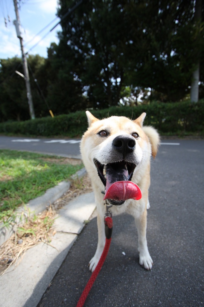 あじーっ^_^;