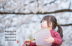 桜季節
