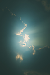 ベランダから見た景色