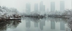 合肥の初雪