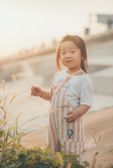 ファンタと夕日