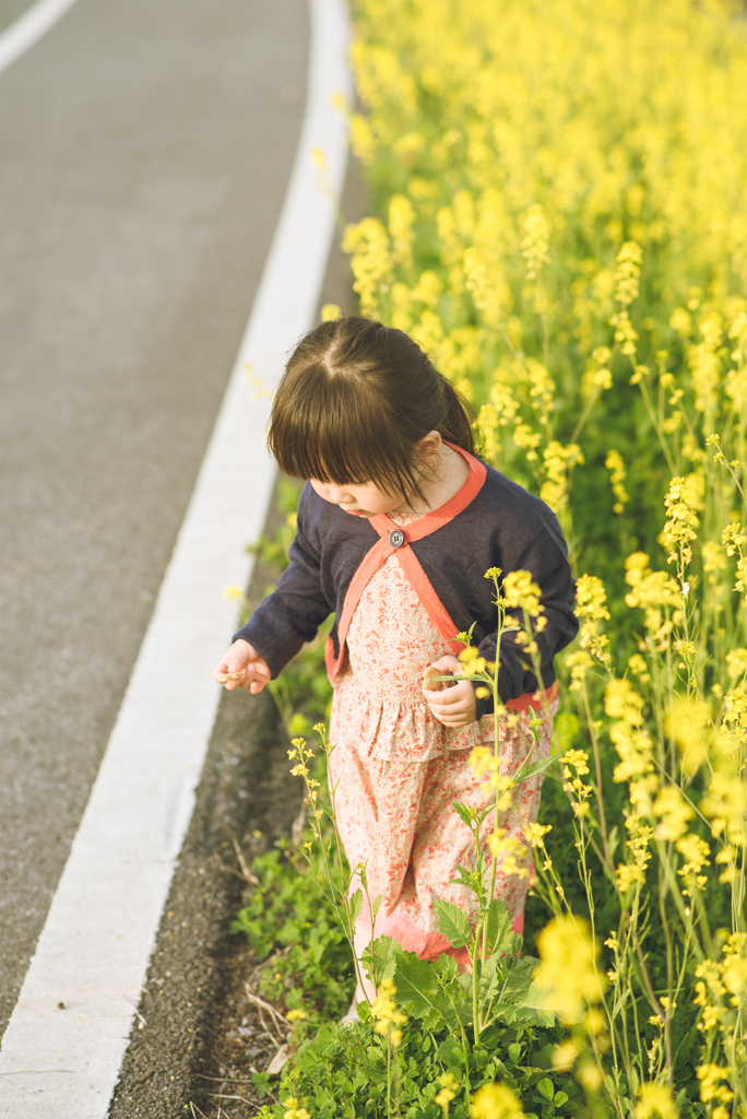 花の菜の季節