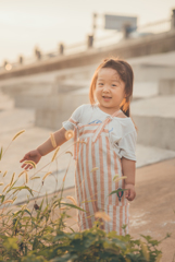 ファンタと夕日