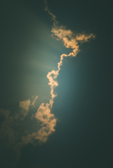 ベランダから見た景色