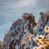 黄山