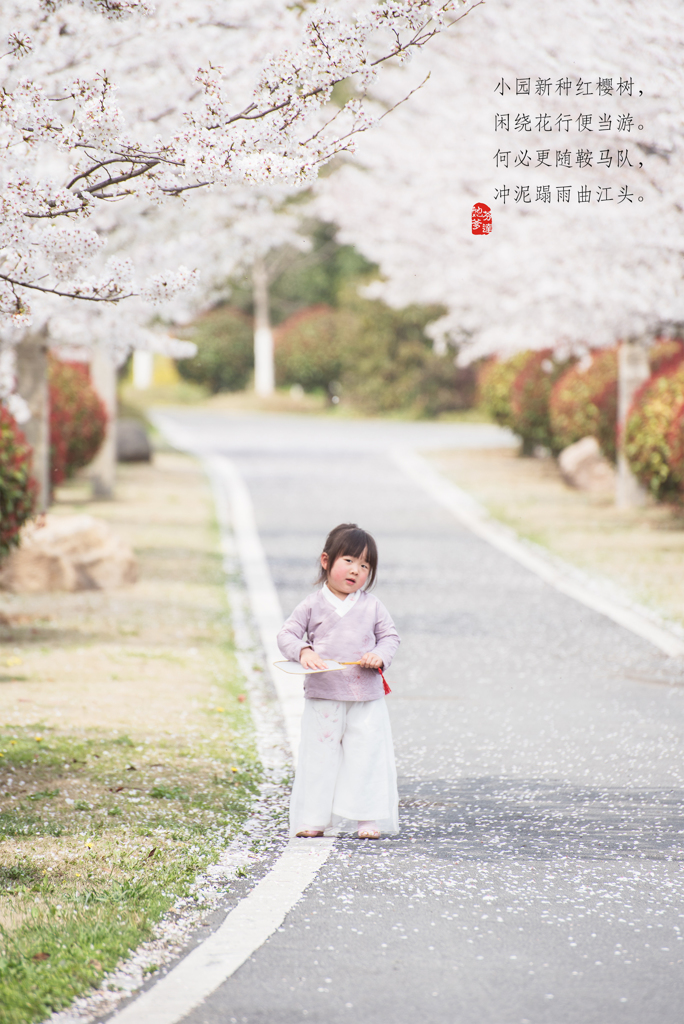 桜季節