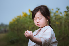 ファンタとひまわり