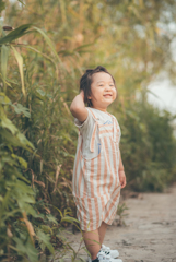 ファンタと夕日