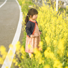 花の菜の季節