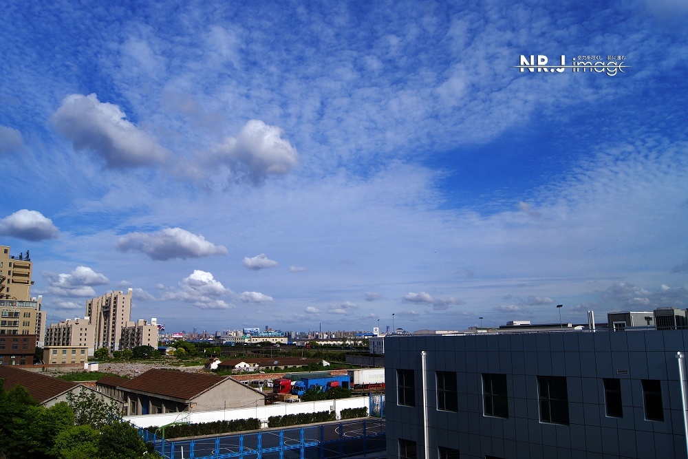 青空に恋をする (2)