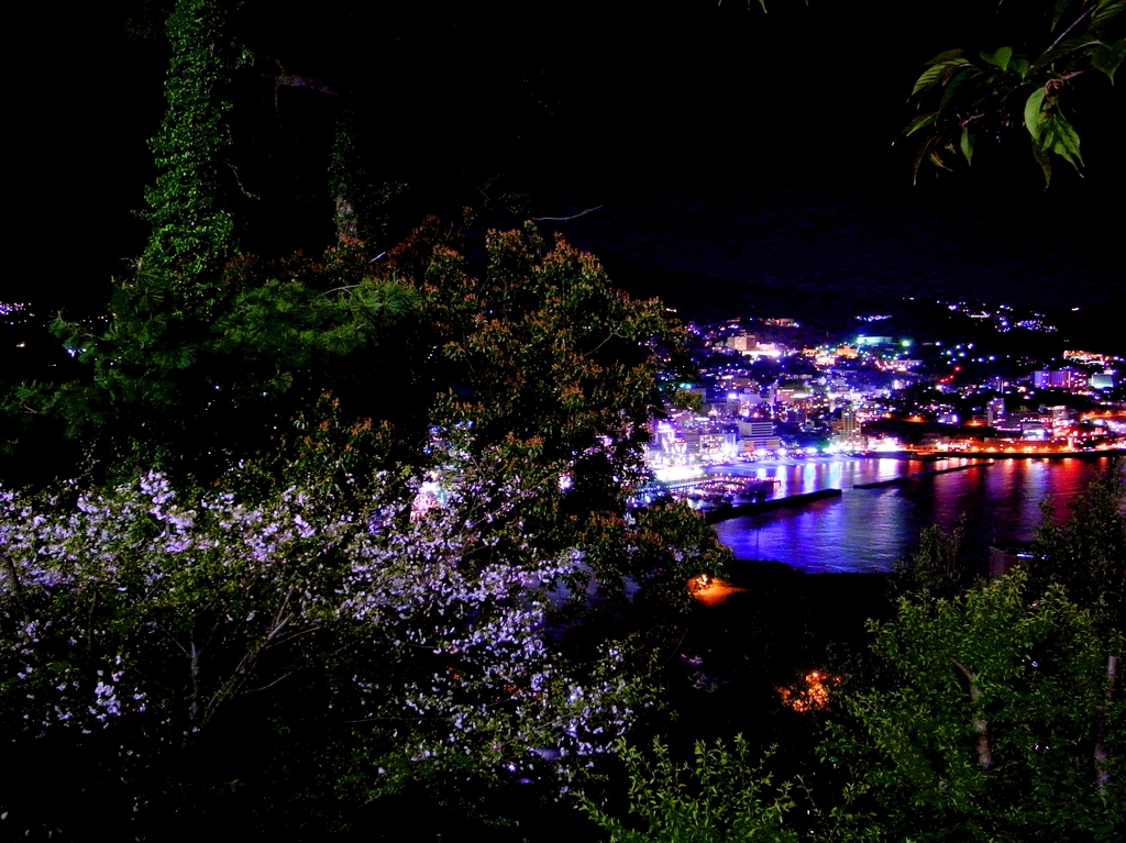 熱海城の夜桜HDR